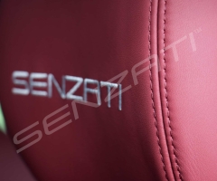 Senzati-V-Class-Jet-Class-6-Seat-Business-Plus-Model-Red-Pic-7